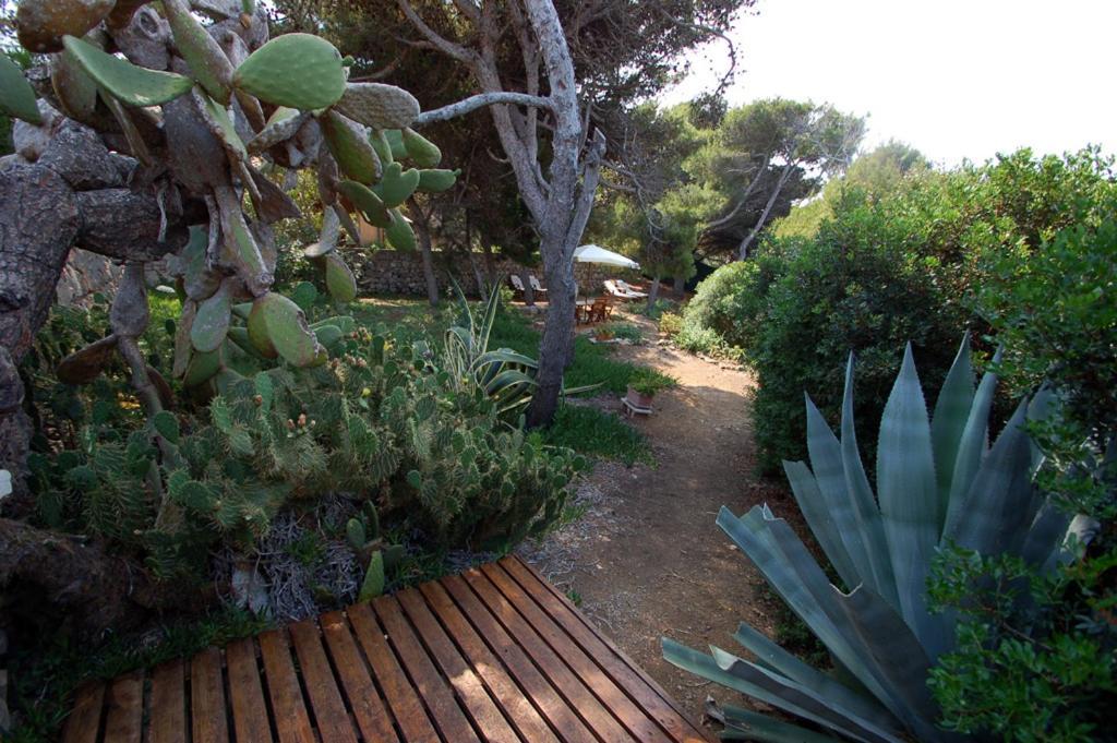 Animosque Giannutri Bed and Breakfast Εξωτερικό φωτογραφία