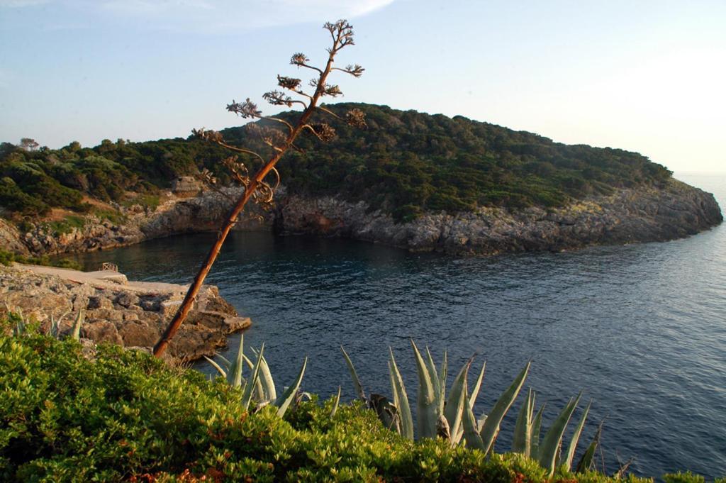 Animosque Giannutri Bed and Breakfast Εξωτερικό φωτογραφία