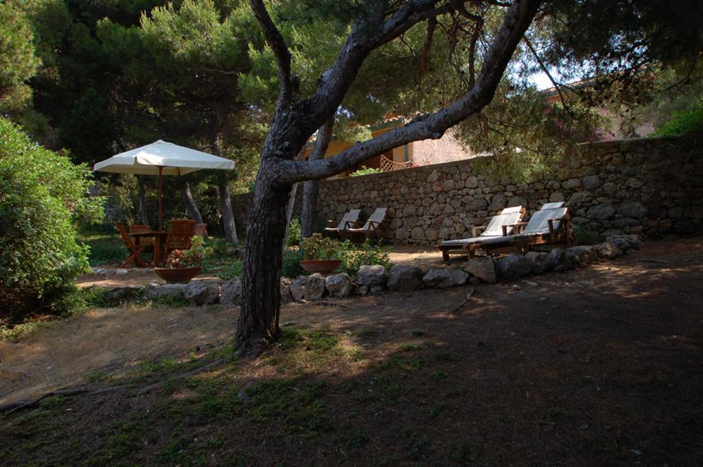 Animosque Giannutri Bed and Breakfast Εξωτερικό φωτογραφία