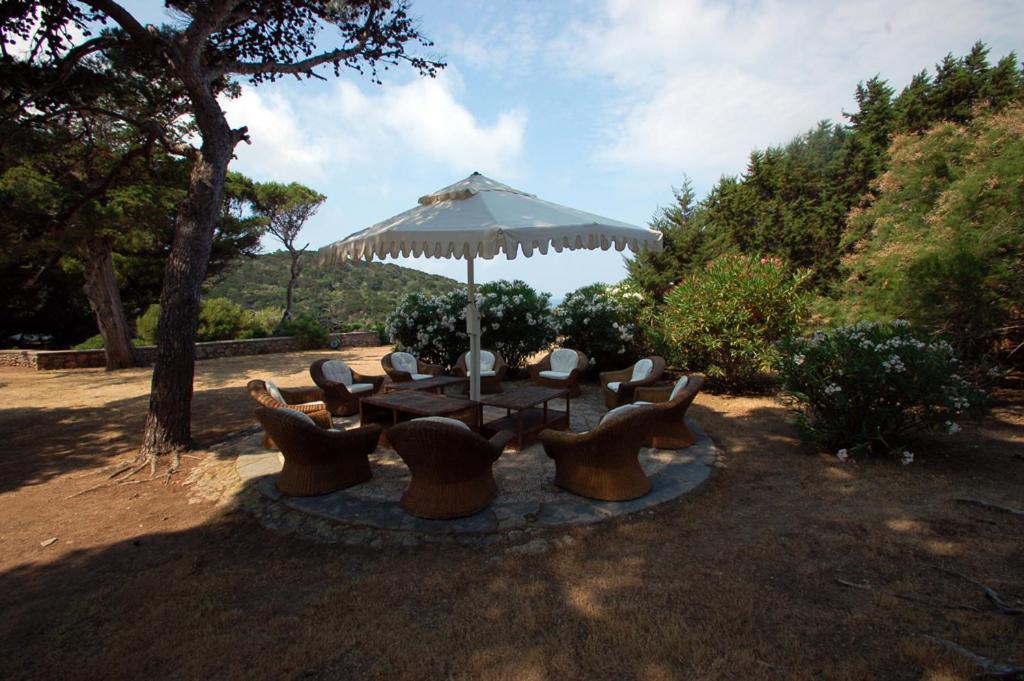 Animosque Giannutri Bed and Breakfast Εξωτερικό φωτογραφία